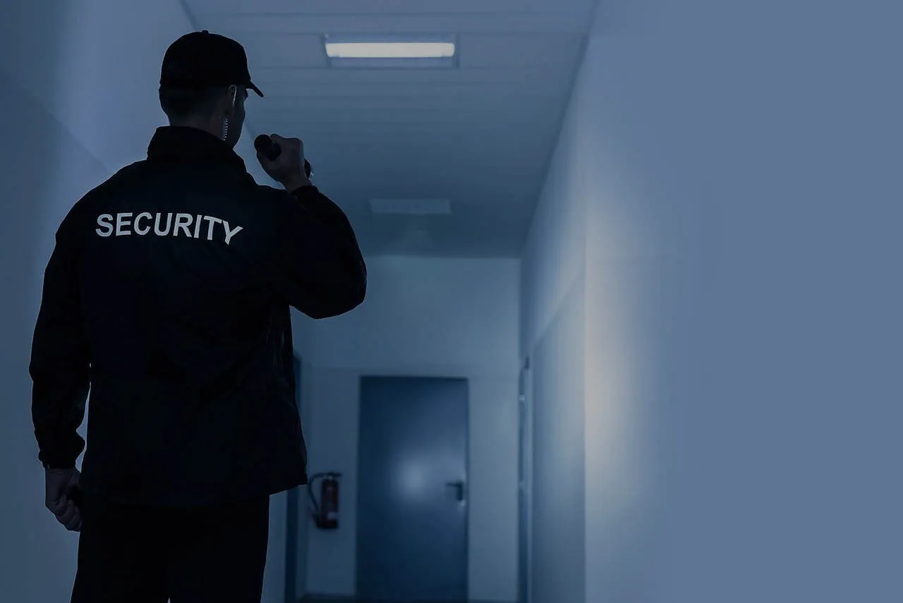 Standing Guards